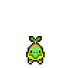 Turtwig