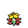 Gossifleur