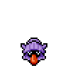 Shellder