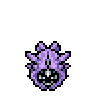 Cloyster